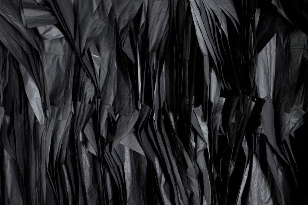 madagascar-pavillon-venise-artskop