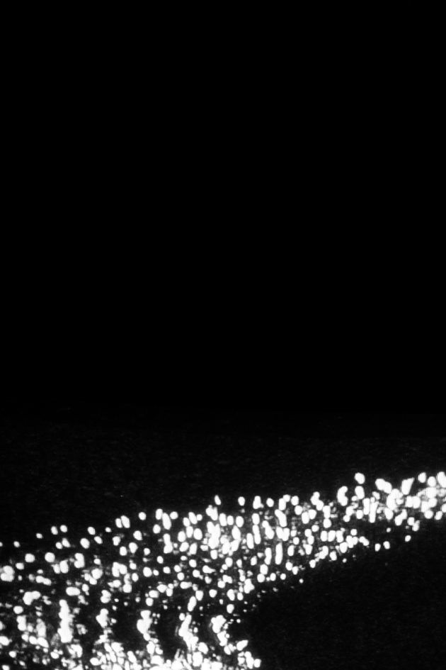 Steeve Bauras, White Dreams Extended n°01, Paris, 2007-2016. Avec l’aimable autorisation de l’artiste et de YCOS-Project.