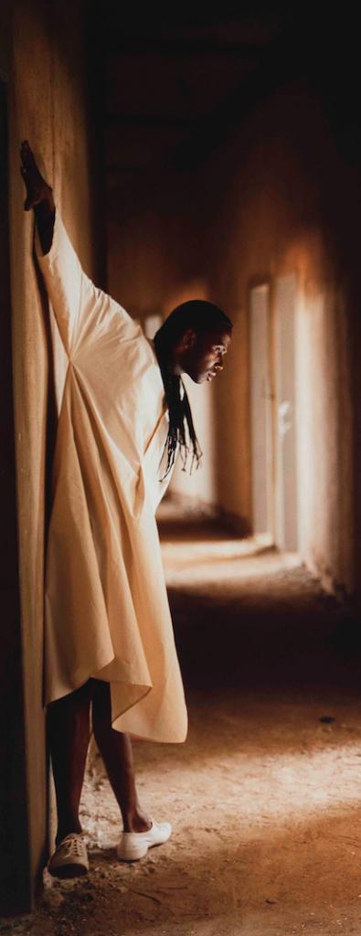 Fantôme Créole Series (Papillon, No 2) (2005) by Isaac Julien. Images courtesy of the Zeitz MOCAA Collection.