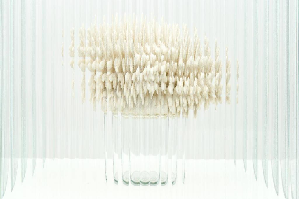 James Webb, Crown of fishes