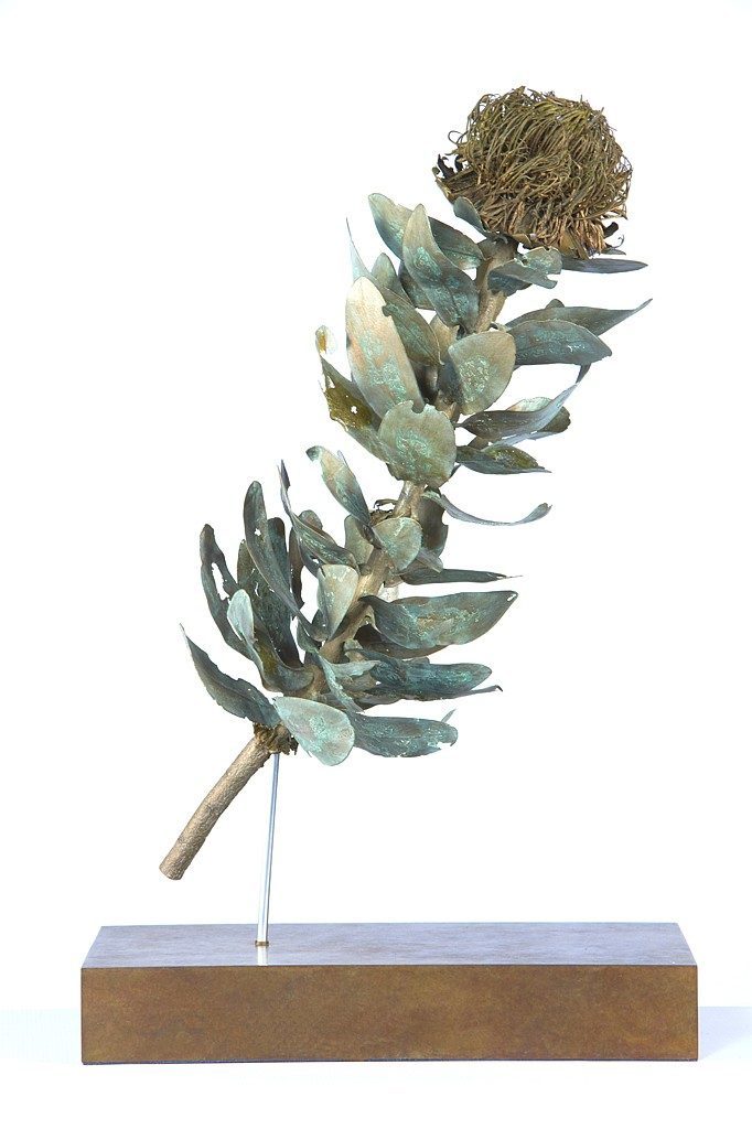 NIC BLADEN, Protea Nitida Cutting Bronze, Courtesy Everard Read