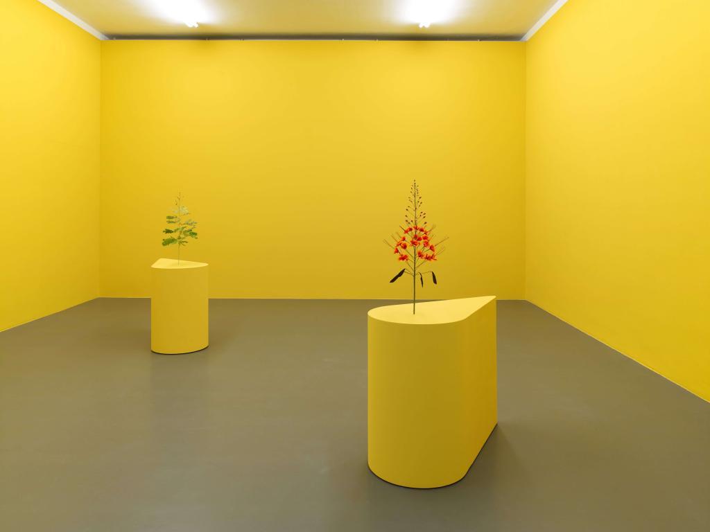 Exhibition overview Kapwani Kiwanga, new work, 2020, at formerly known Witte de With Center for Contemporary Art. Photographer: Kristien Daem.