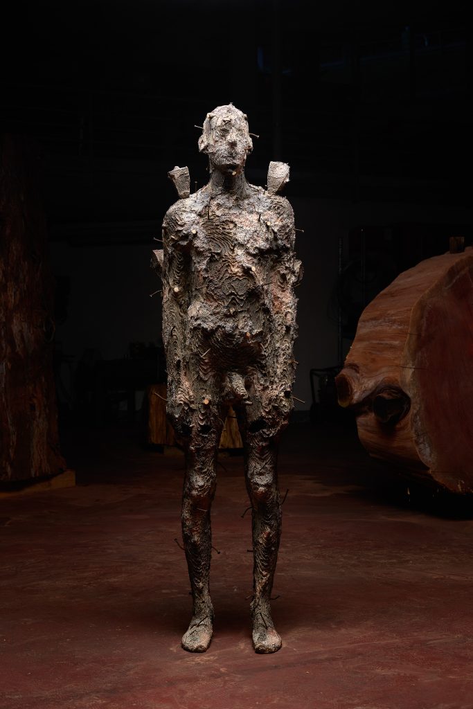 06_Aron Demetz_Pangea_2017